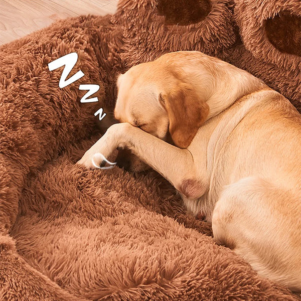 Cozy Paws Pet Sofa Bed