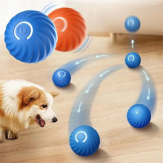 Interactive Pet Play Ball
